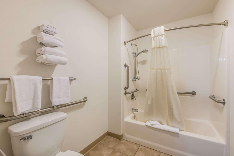 Bathroom 4, Econo Lodge Rice Lake, Barron