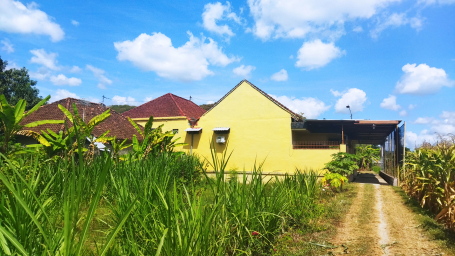 Exterior & Views 2, Bougenville Homestay Mataram, Lombok