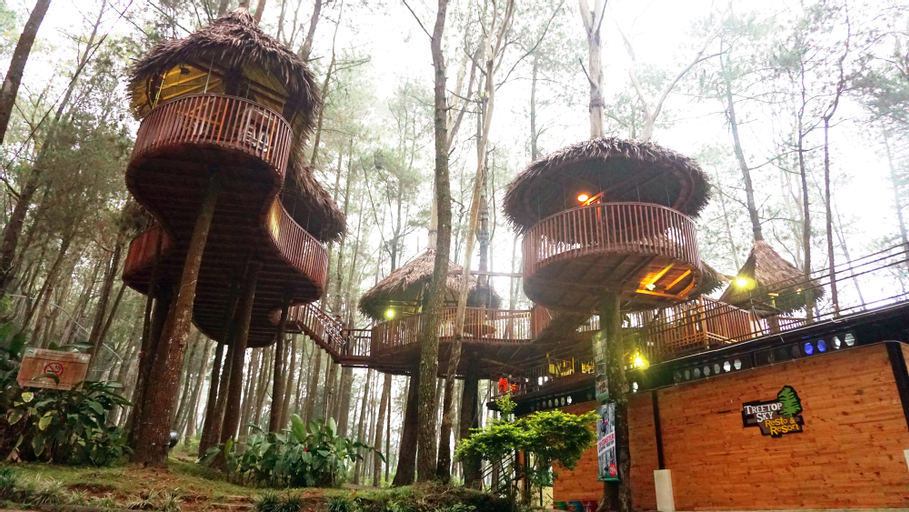 Family & Kids 4, Kopeng Treetop Adventure Park, Semarang