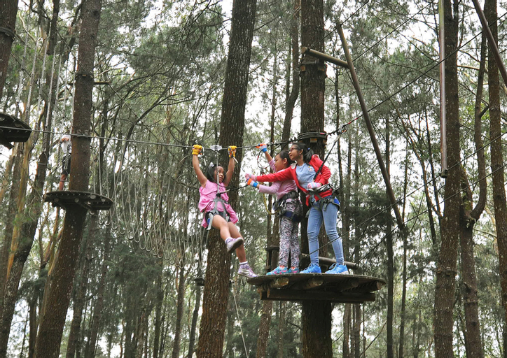Family & Kids 5, Kopeng Treetop Adventure Park, Semarang