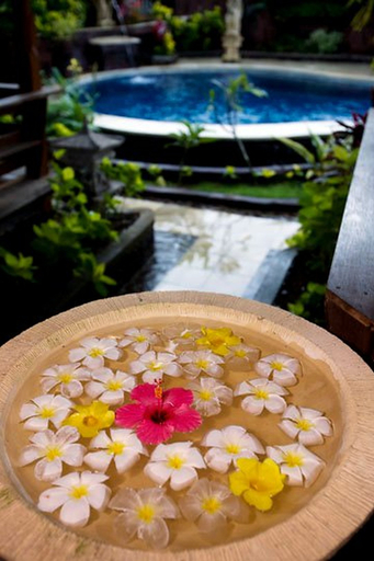 Food & Drinks 2, Diver's Cafe Amed Bungalows, Karangasem