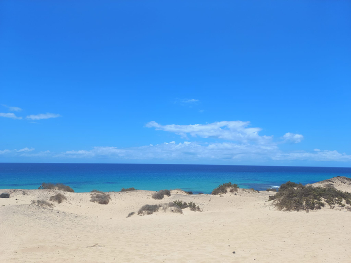 Others 5, LACASA Apartments Cotillo, Las Palmas