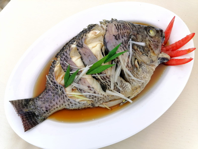 Food & Drinks 5, Sapadia Villa Bukit Gibeon, Toba