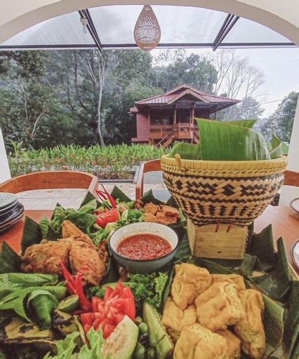 Food & Drinks