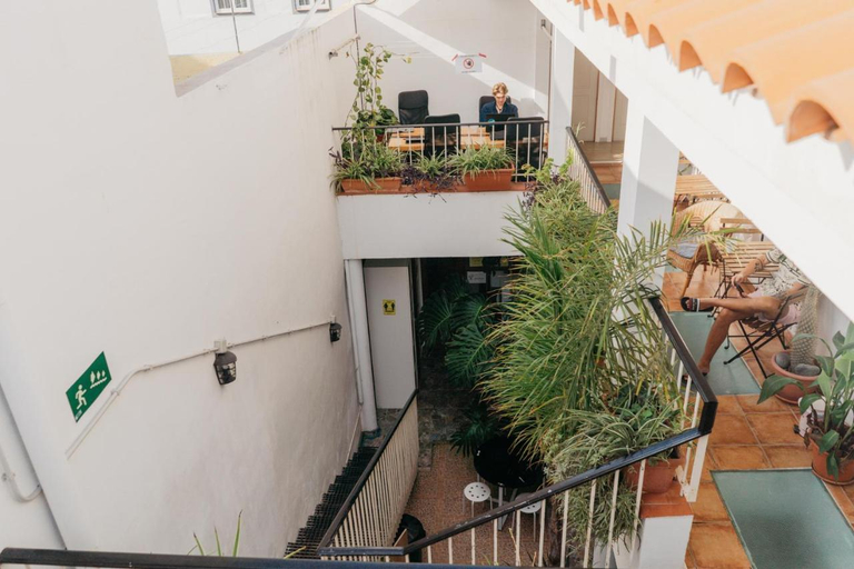 Public Area 2, Puerto Nest Hostel, Santa Cruz de Tenerife
