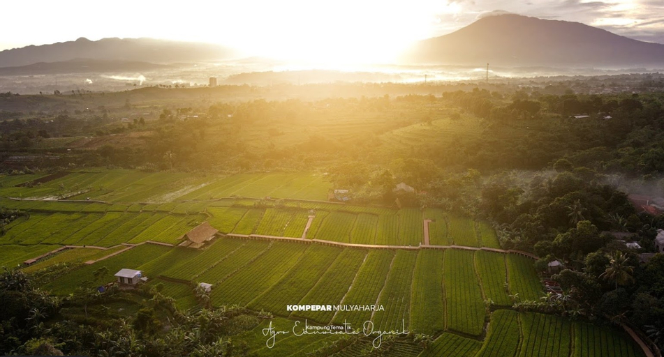 Exterior & Views 5, AEWO Homestay Tutug Oncom, Bogor