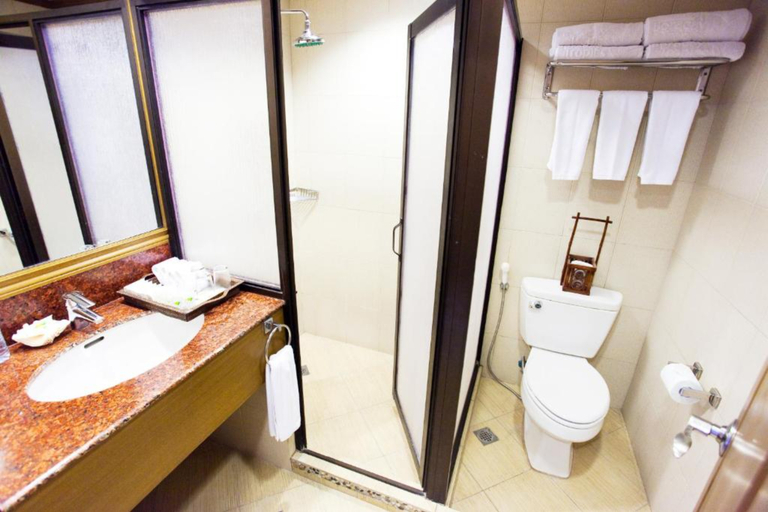 Bathroom 3, Boracay Tropics Resort Hotel, Malay