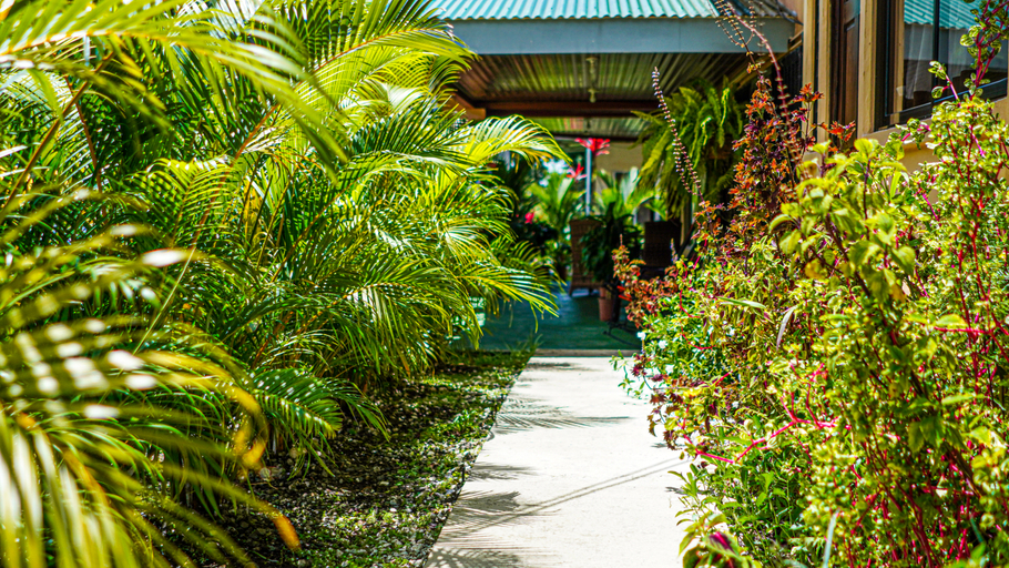 Others 5, Hotel Campestre Arenal, San Carlos