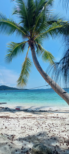 Others 5, Ambower Homestay Raja Ampat, Raja Ampat