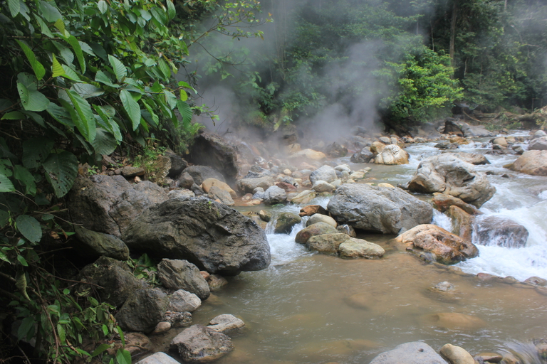 Exterior & Views 5, Jungle Trekking Ketambe Adventure, Southeast Aceh