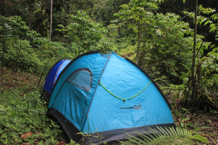 Others 1, Jungle Trekking Ketambe Adventure, Southeast Aceh
