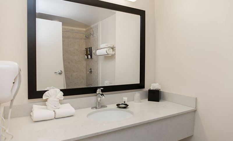 Bathroom 5, Chicago South Loop Hotel, Cook