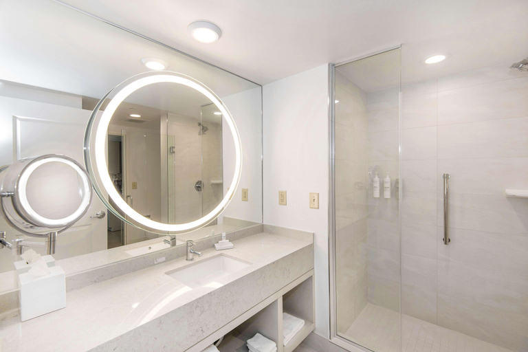 Bathroom 5, Embassy Suites by Hilton Raleigh Durham Airport Br, Wake