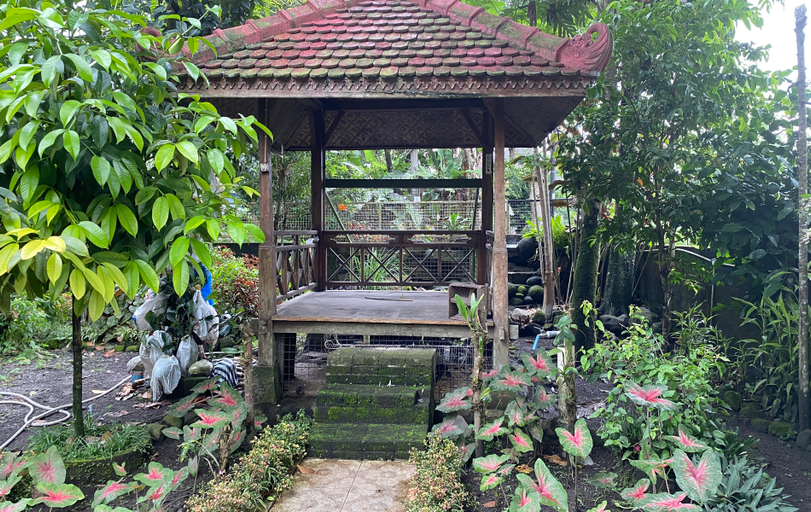 Others 5, Sopo Guesthouse, Sleman