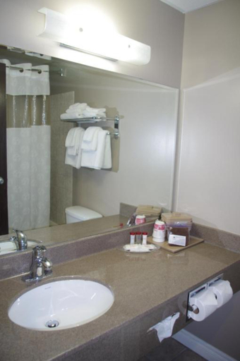 Bathroom 5, South Hill Lodge, Division No. 15