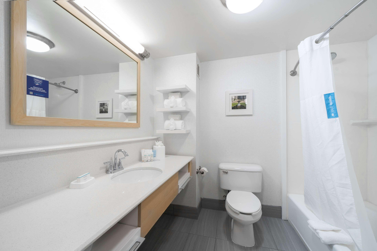 Bathroom 4, Hampton Inn & Suites Modesto-Salida, Stanislaus