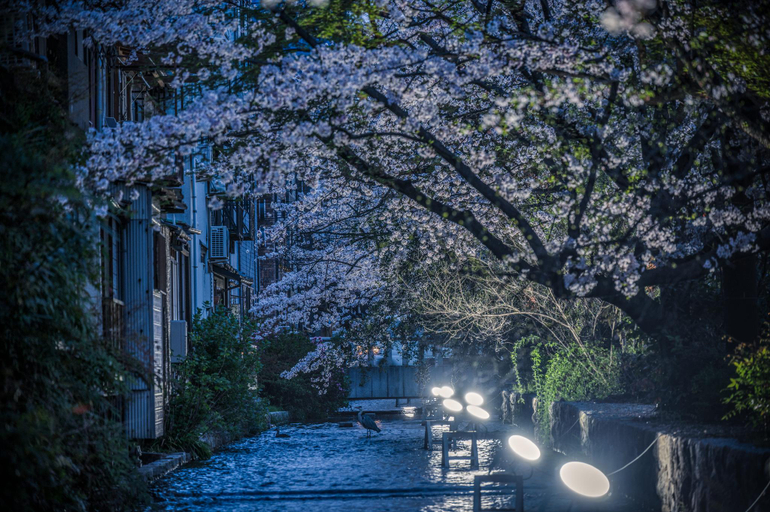 Others 4, kabaya-樺屋, Kyoto