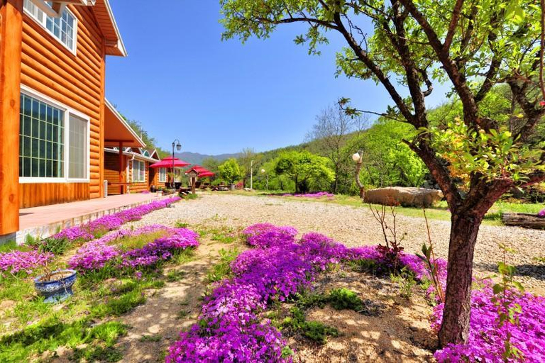 Others 3, Yanggu Kwakgol Pension, Yanggu