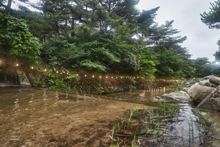 Others 1, Seosan Nature Sound Pension, Seosan