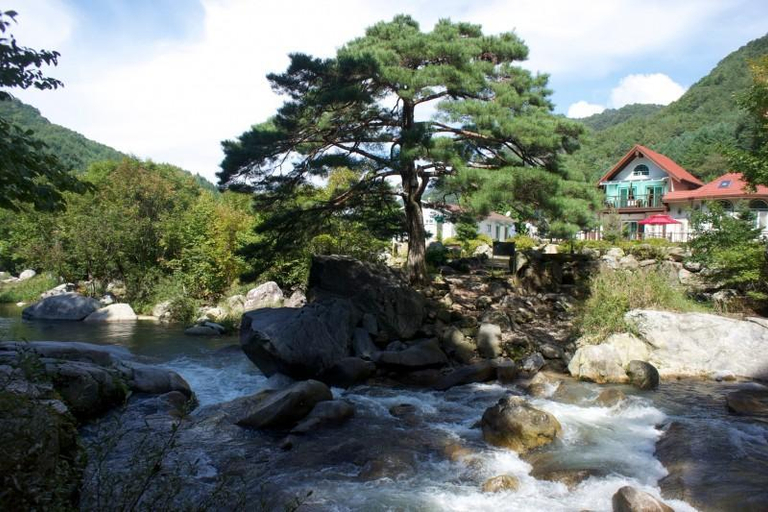 Others 3, Inje Bawisol Pension, Inje