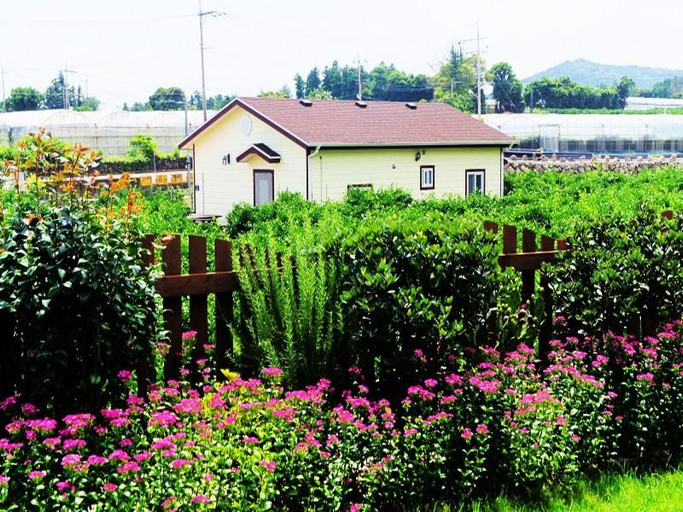 Others 5, Seoguipo Lucky Clover Pension, Seogwipo