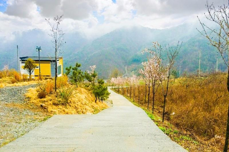 Others 5, Yeongwol Patronus Pension, Yeongwol