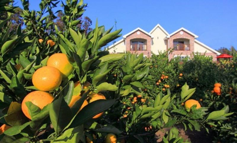 Others 4, Seoguipo Lucky Clover Pension, Seogwipo