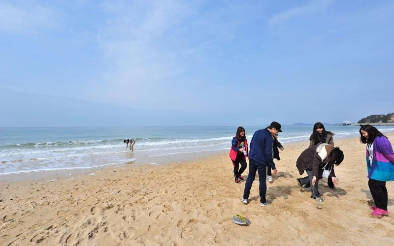 5, Boryeong (Daecheon) Rodem Pension, Boryeong