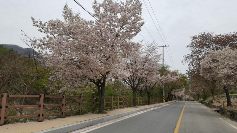Others 3, Jecheon Provence Pension (Woraksan Mountain, Songgye Valley), Jecheon