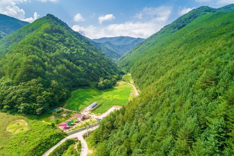 Others 4, Gangneung king Mountain Pension, Gangneung