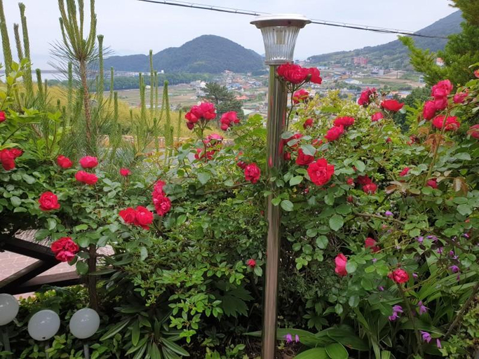 Others 2, Namhae Cello Pension, Namhae