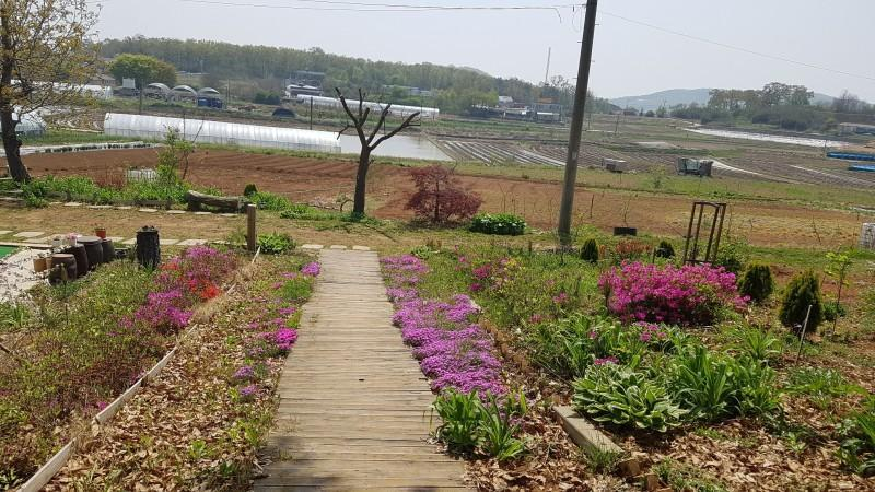 2, Ganghwado So Tree Farm Pension, Ganghwa
