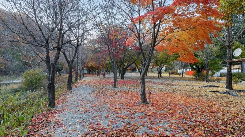 Others 5, Gapyeong Modern 224 Pension, Gapyeong