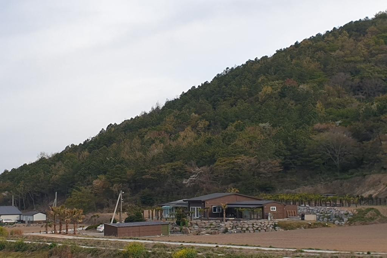 Others 5, Jindo Brown House Pension, Jindo