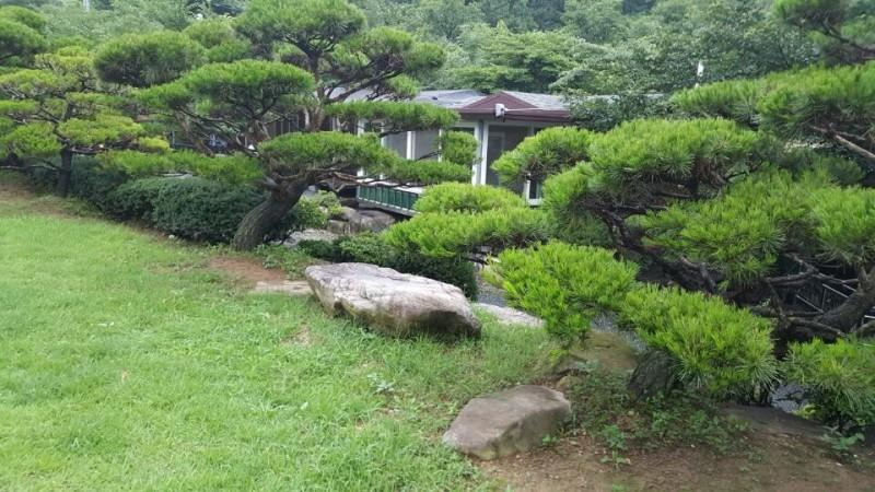 Others 5, Wanju Haneurarae Cheotjip Pension, Wanju