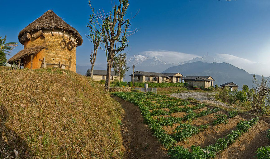 Exterior & Views