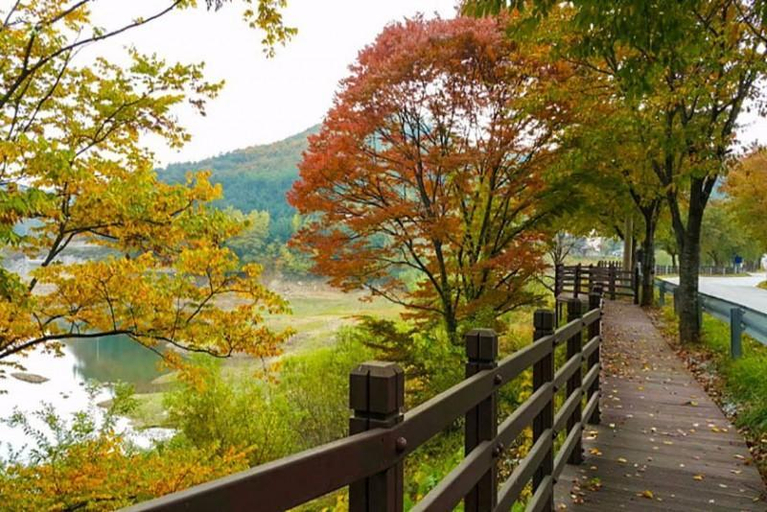 Others 5, Yeongju Happy Pension, Yeongju