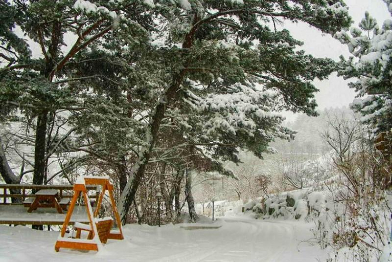 Others 5, Pyeongchang Eomeonipumsok Maeul Pension, Pyeongchang