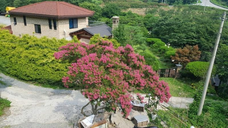 Others 4, Jangseong Baegilhong Pension, Jangseong