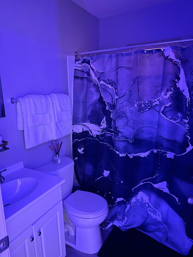 Bathroom, 2-Bedroom Apartment Downtown Nashville, Davidson