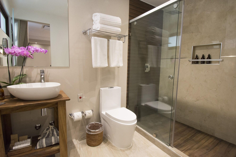 Bathroom 4, Casa Santiago Hotel Boutique, Querétaro