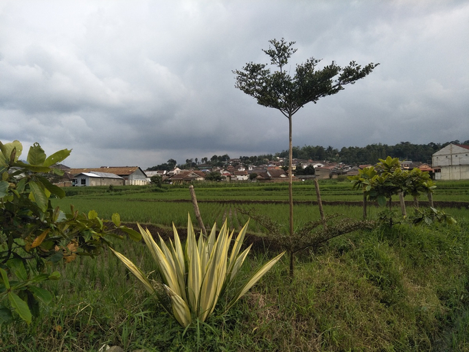 Others 4, Giri Home & Travel Ciwidey, Bandung