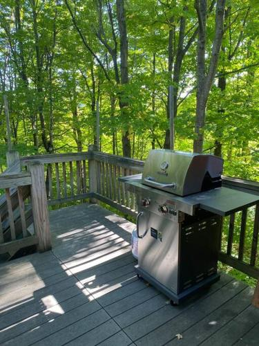 Lovely 2-Bedroom Apartment * lake&mount sunapee, Merrimack