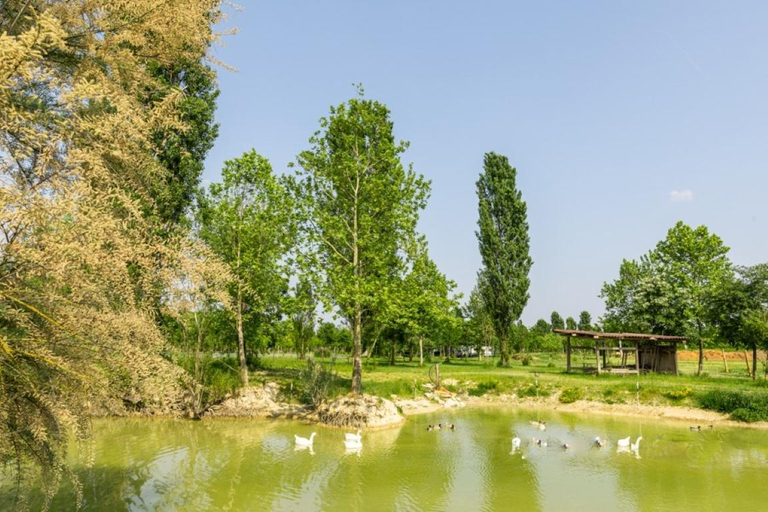 Others 4, Agriturismo La Buona Terra Bio, Padua