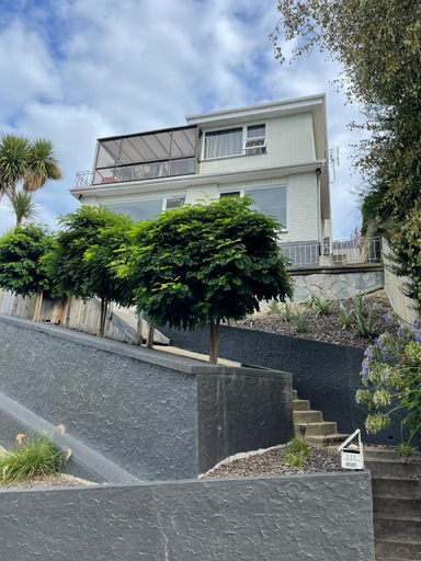 Others 4, City Views on Rattray, Dunedin