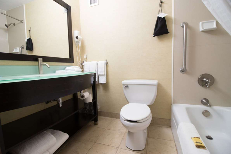 Bathroom 4, Rodeway Inn, Porter