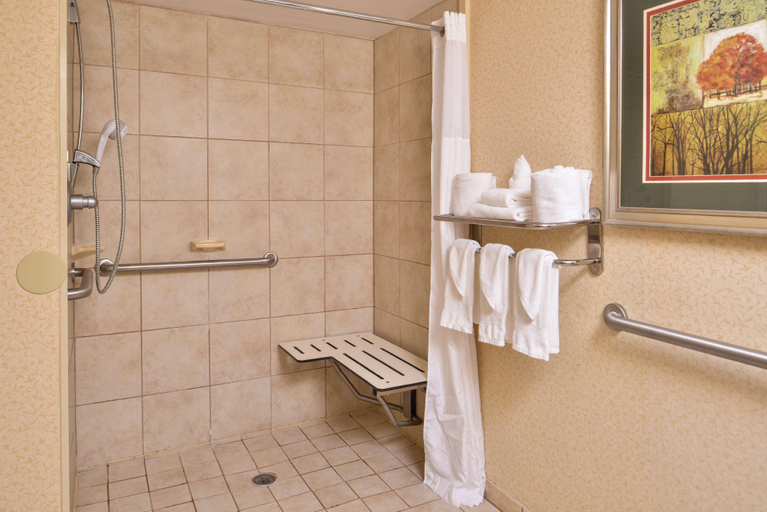 Bathroom 4, Hampton Inn Staunton, Augusta