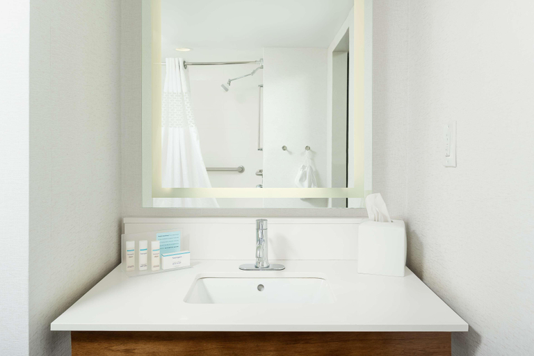 Bathroom 4, Hampton Inn Oak Ridge Knoxville, Anderson