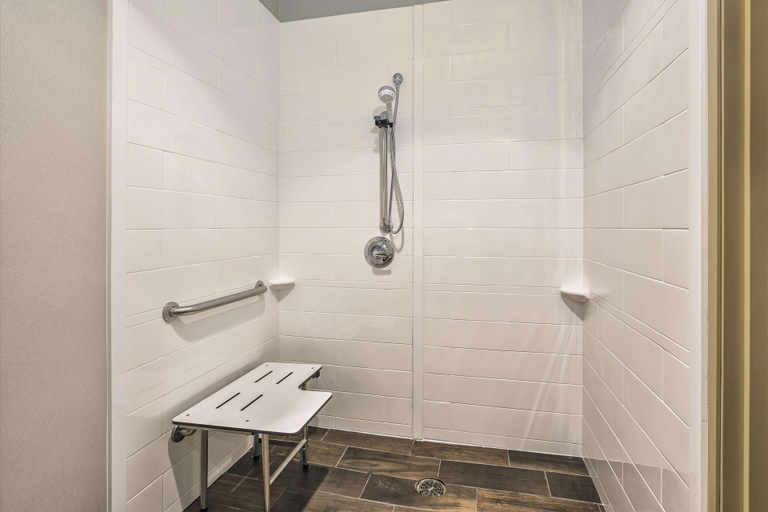 Bathroom 5, Hampton Inn Detroit/Belleville-Airport Area, Wayne