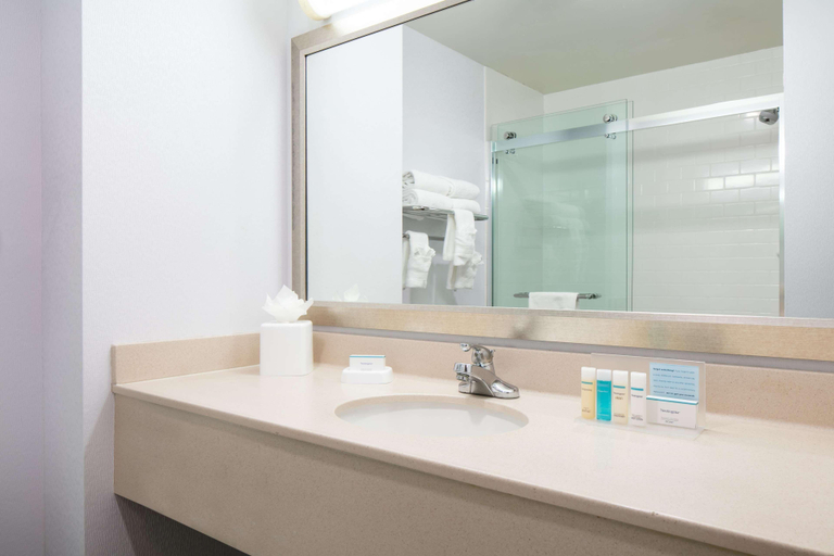 Bathroom 4, Hampton Inn Council Bluffs, Pottawattamie